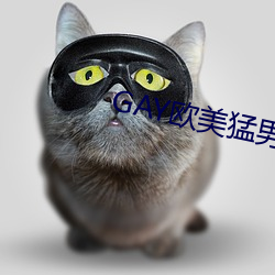 GAY欧美(měi)猛男巨(jù)大