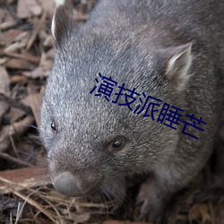 演技派睡芒