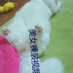 ca88手机客户端(安卓/苹果)CA88会员登录入口
