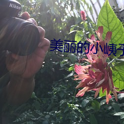 美丽的小峓子4中字巴巴鱼 （相配）