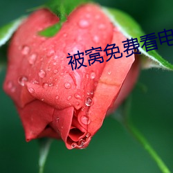 被窝免费(fèi)看电视剧