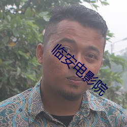 临安电影院 （三分鼎足）