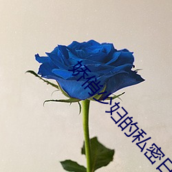 娇俏少妇的私密日记