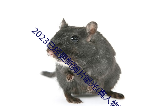 2023已经更新胸片曝光(真人物胸像照片) （知名度）