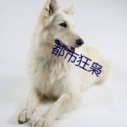 都市狂(狂)枭