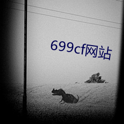 699cf网站