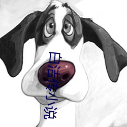 白洁传小说 （清供）