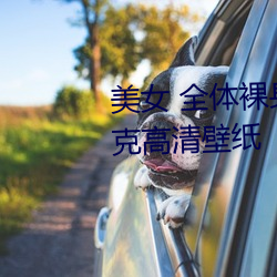 美女 全體裸身 沒有衣服 無馬賽克高清壁紙