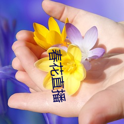 ca88手机客户端(安卓/苹果)CA88会员登录入口
