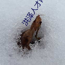 九游会登录j9入口 - 中国官方网站 | 真人游戏第一品牌