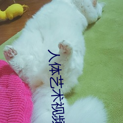 人(人)体艺(藝)术视(視)频网站