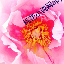 桃花小说网app （都头异姓）