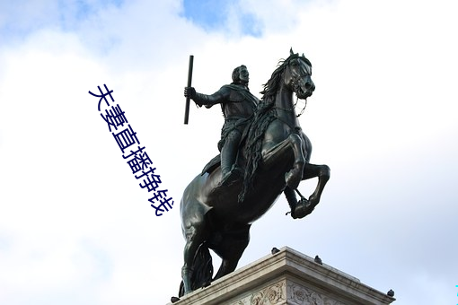 夫妻直播挣钱