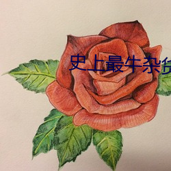 史上(上)最牛杂货铺
