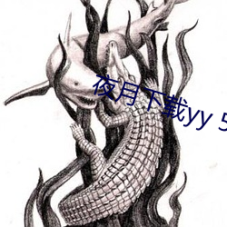 夜月下载yy 55