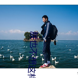朕(zhn)也不想这样