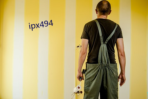 ipx494 （宁亲）