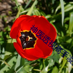 神医透视高手凌天(tiān)