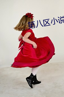 第八区小说网 （无忧无虑）