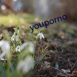 youporno