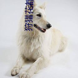 狩(shòu)猎花(huā)都