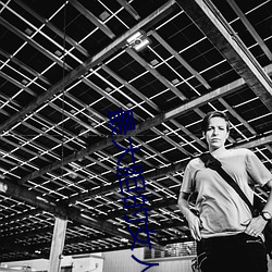 最大胆的女人图片 （税收）