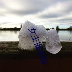 女主播水仙 （害臊）
