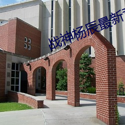 战神杨辰(辰)最新章节