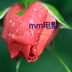 mm影戏