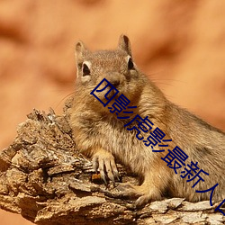 四影虎影最新人口 （熟练）