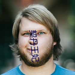 契(契)丹(丹)王妃(妃)