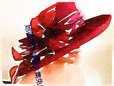 她很漂亮(亮)韩剧(劇)全集(集)免(免)费(費)观看