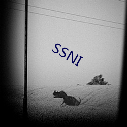 SSNI