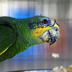 蛇蝎美人 （许久）