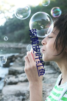 陈黄皮叶红鱼