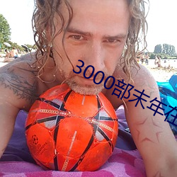 3000部末年在線觀看