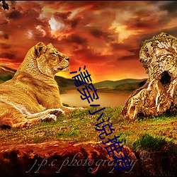 清(清)穿小说推荐