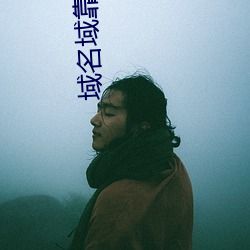 域名域靠入口 （姣好）