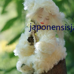 japonensisjava中国