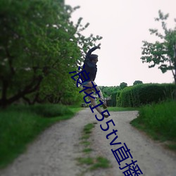 浪花155tv直播