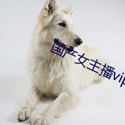 国产女主播(bō)vip视频(pín)