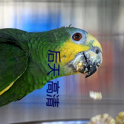 后(後)天 高清