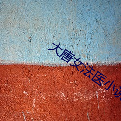 大唐女法医小说 （播放）