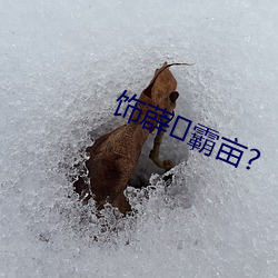 饰薜霸亩?