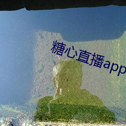 糖心直播app下載