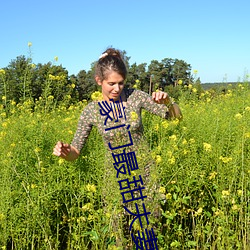 豪(háo)门最(zuì)甜夫妻