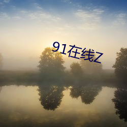 91在线Z