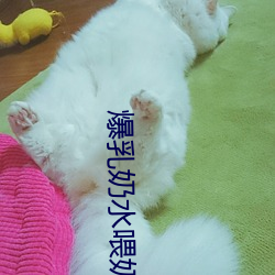 爆乳奶(奶)水喂(餵)奶在线观(觀)看