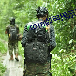 tom御(yù)用提示(shì)页