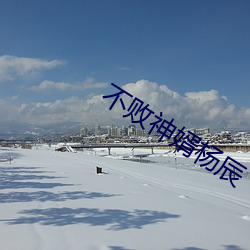 不败神婿杨辰